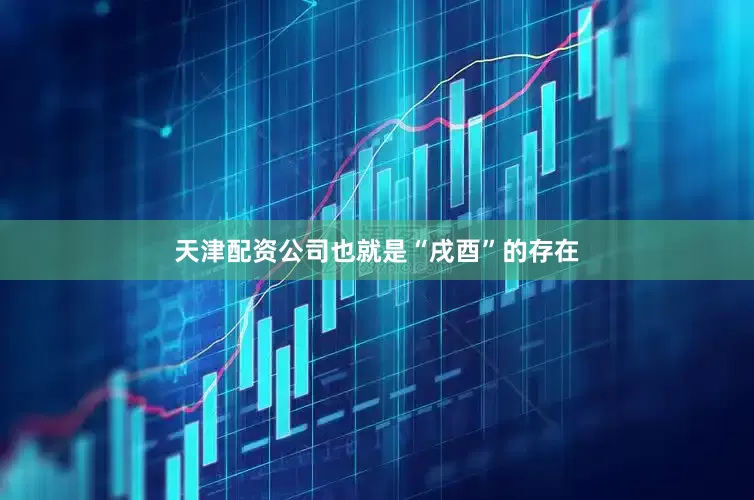 天津配资公司也就是“戌酉”的存在
