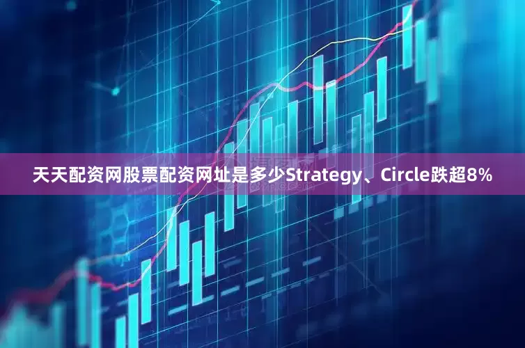 天天配资网股票配资网址是多少Strategy、Circle跌超8%